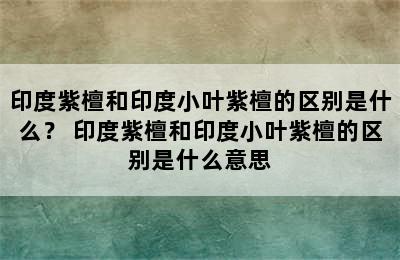 印度紫檀和印度小叶紫檀的区别是什么？ 印度紫檀和印度小叶紫檀的区别是什么意思